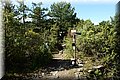 P4230507.JPG