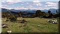 P4230517.JPG