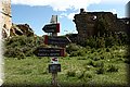 P4230523.JPG