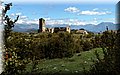 P4230531.JPG