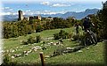 P4230532.JPG