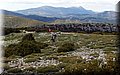 P4230538.JPG