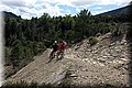 P4230565.JPG