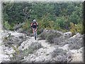 zona 0 389.jpg