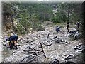 zona 0 407.jpg