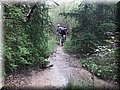 zona 0 435.jpg