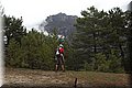P4240592.JPG
