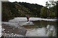P4240606.JPG