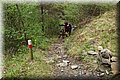 P4240610.JPG