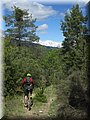 IMG_8191.JPG