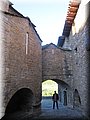IMG_8219.JPG