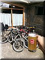 IMG_9446.JPG