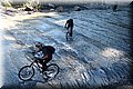 P4250631.JPG