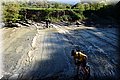 P4250636.JPG