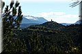 P4250644.JPG