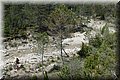 P4250660.JPG