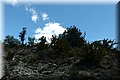 P4250663.JPG