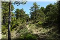 P4250677.JPG