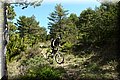 P4250678.JPG