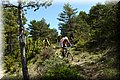 P4250679.JPG
