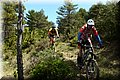 P4250680.JPG