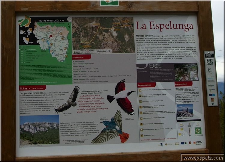 P4260705.JPG