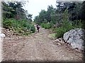 840.jpg