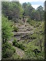 IMG_8244.JPG