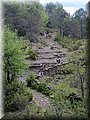 IMG_8245.JPG