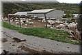 P4260696.JPG