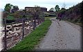 P4260697.JPG