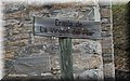 P4260700.JPG