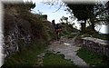 P4260708.JPG