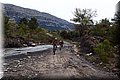 P4260721.JPG