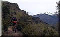 P4260733.JPG