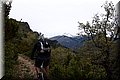 P4260734.JPG