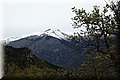 P4260735.JPG