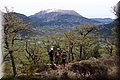 P4260740.JPG