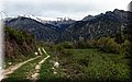 P4260749.JPG