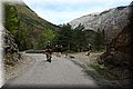 P4260762.JPG