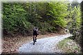 P4260765.JPG