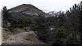 P4260771.JPG