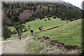 P4260780.JPG