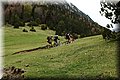 P4260781.JPG