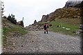 P4260791.JPG
