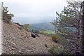 P4260809.JPG