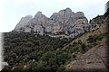 P4260811.JPG
