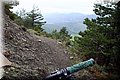P4260818.JPG