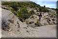 P4260830.JPG