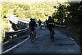 P4270840.JPG